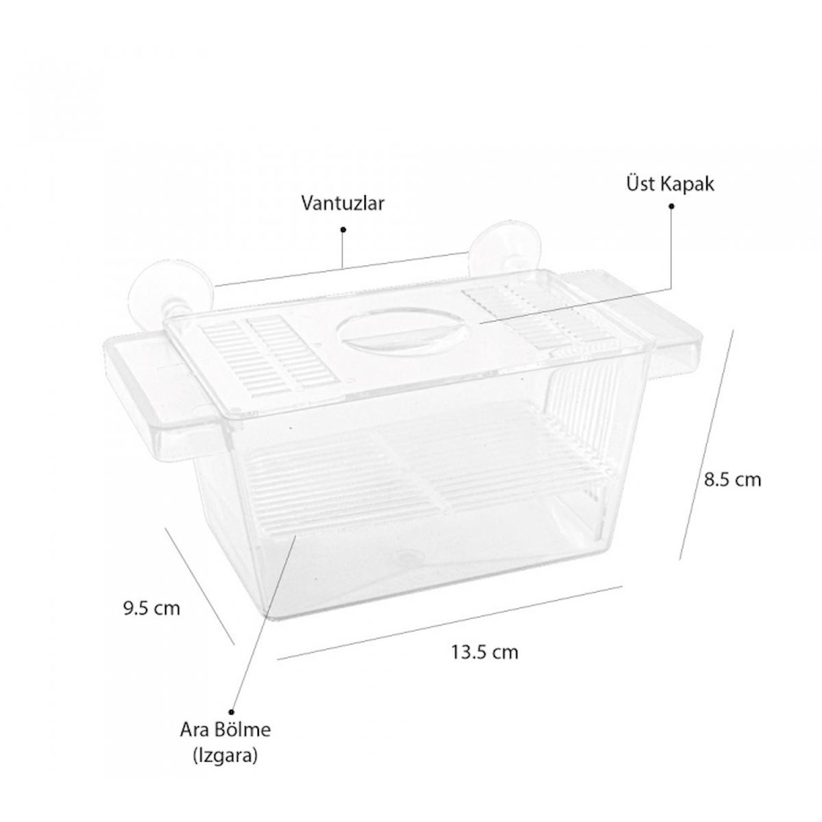 Atlantik Tekli Kristal Balık Yavruluk 13,5 Cm x 8,5 Cm