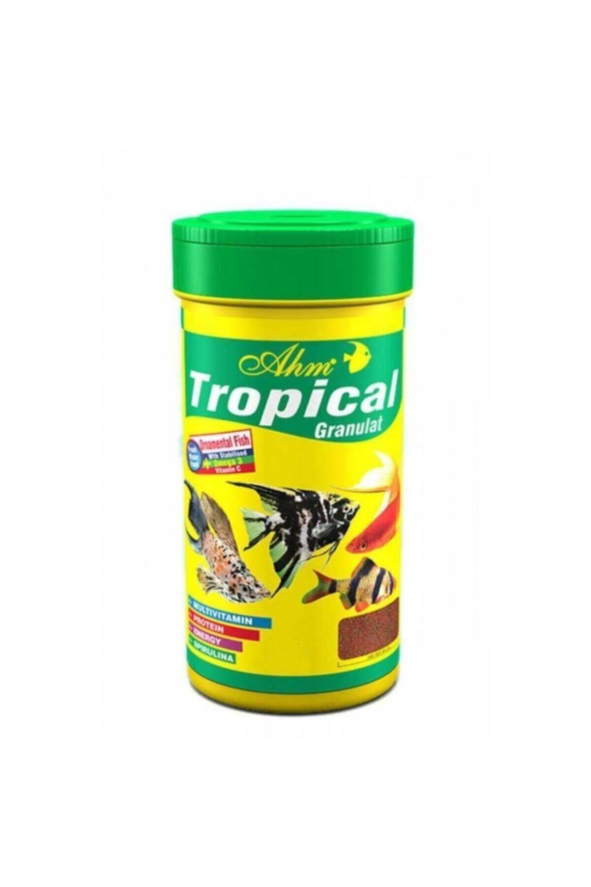 Ahm Tropical Granulat Tropikal Balık Yemi 100ml