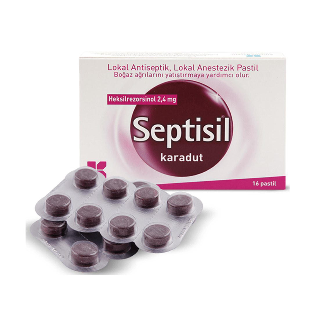 Septisil Karadut 16 Past il