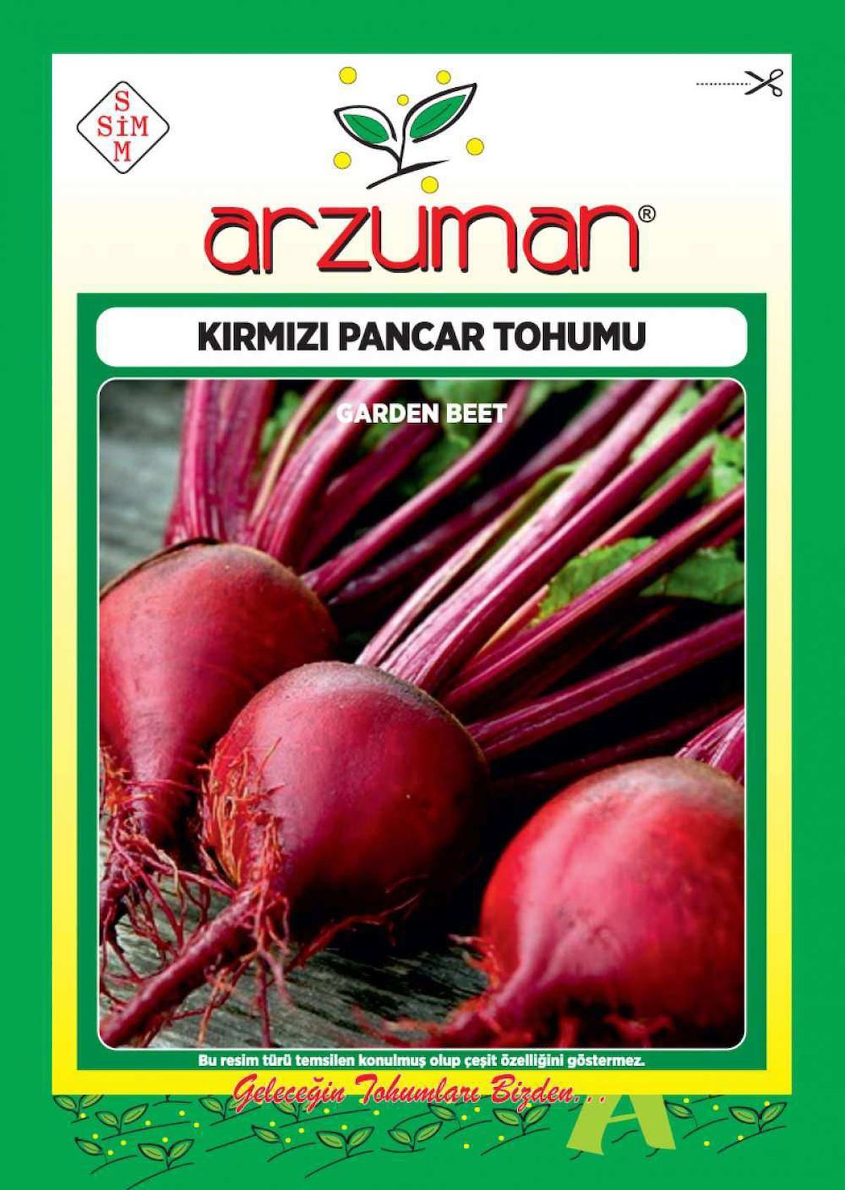 Kırmızı Pancar Tohumu 10 Gr