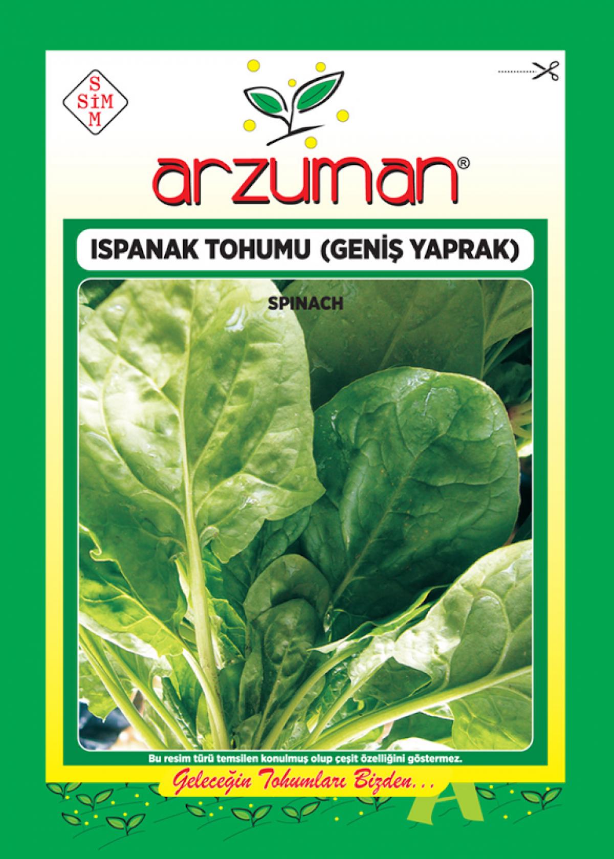 Ispanak Tohumu Geniş Yaprak 25 Gr