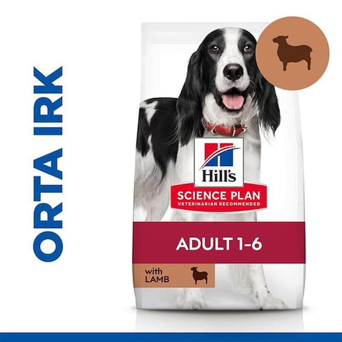 Hill's Adult Medium Lamb Rice Kuzu Etli ve Pirinçli Yetişkin Köpek Maması 14 Kg