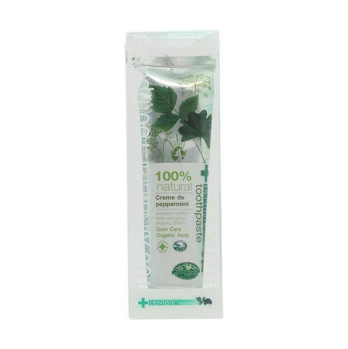 Dentiste Natural 100% Toothpaste 100g 