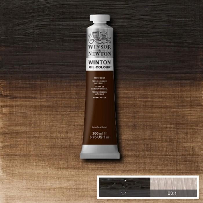 Winsor&Newton Winton 200 ml Yağlı Boya No:35 Raw Umber