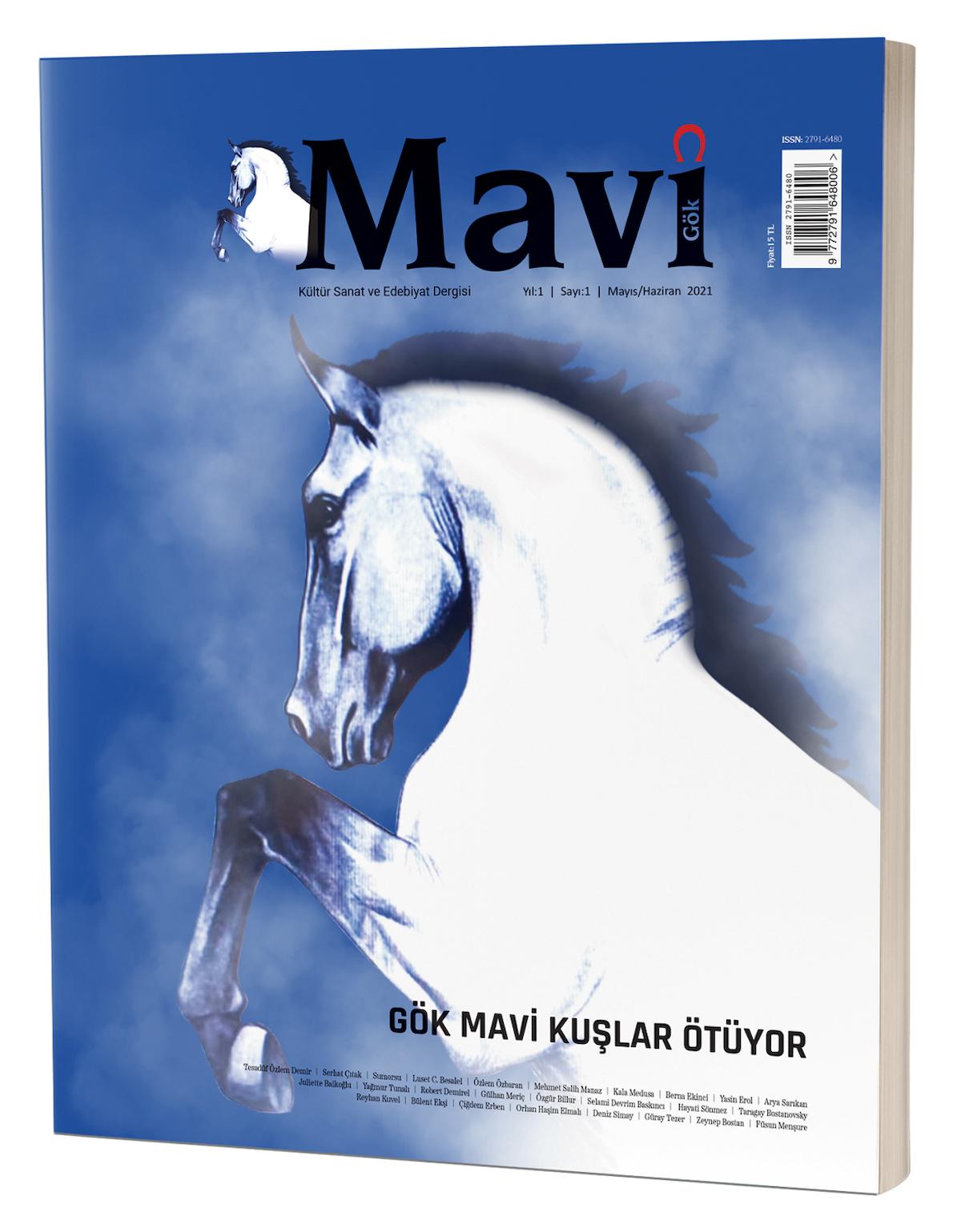 Mavi Gök Kültür Sanat Ve Edebiyat Dergisi Sayı & 1