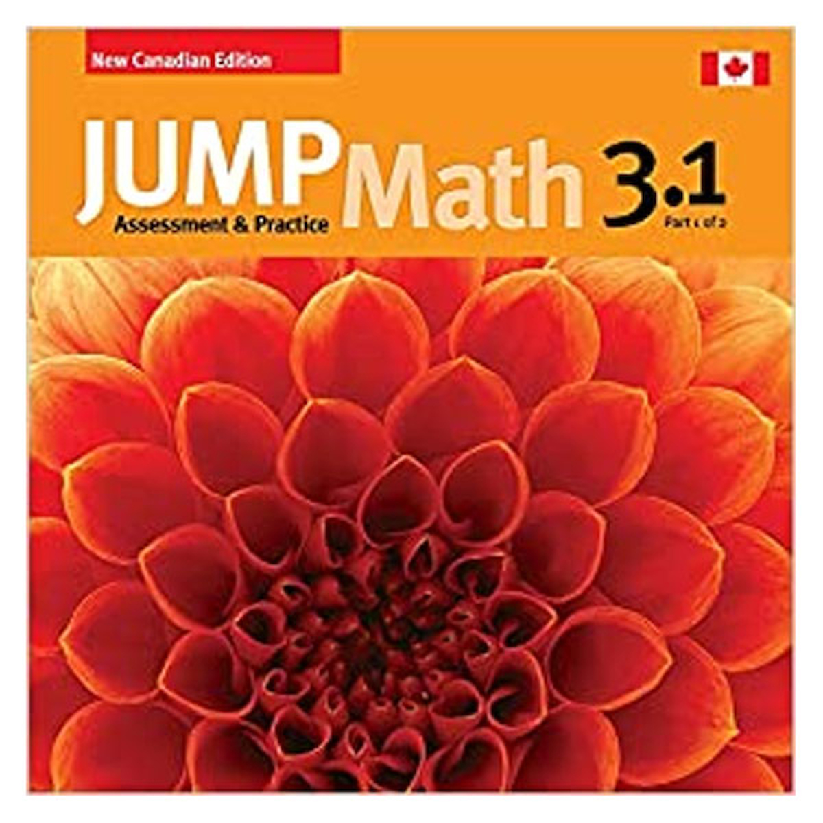 Jump Math 31 Jump Math