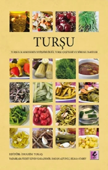 Turşu