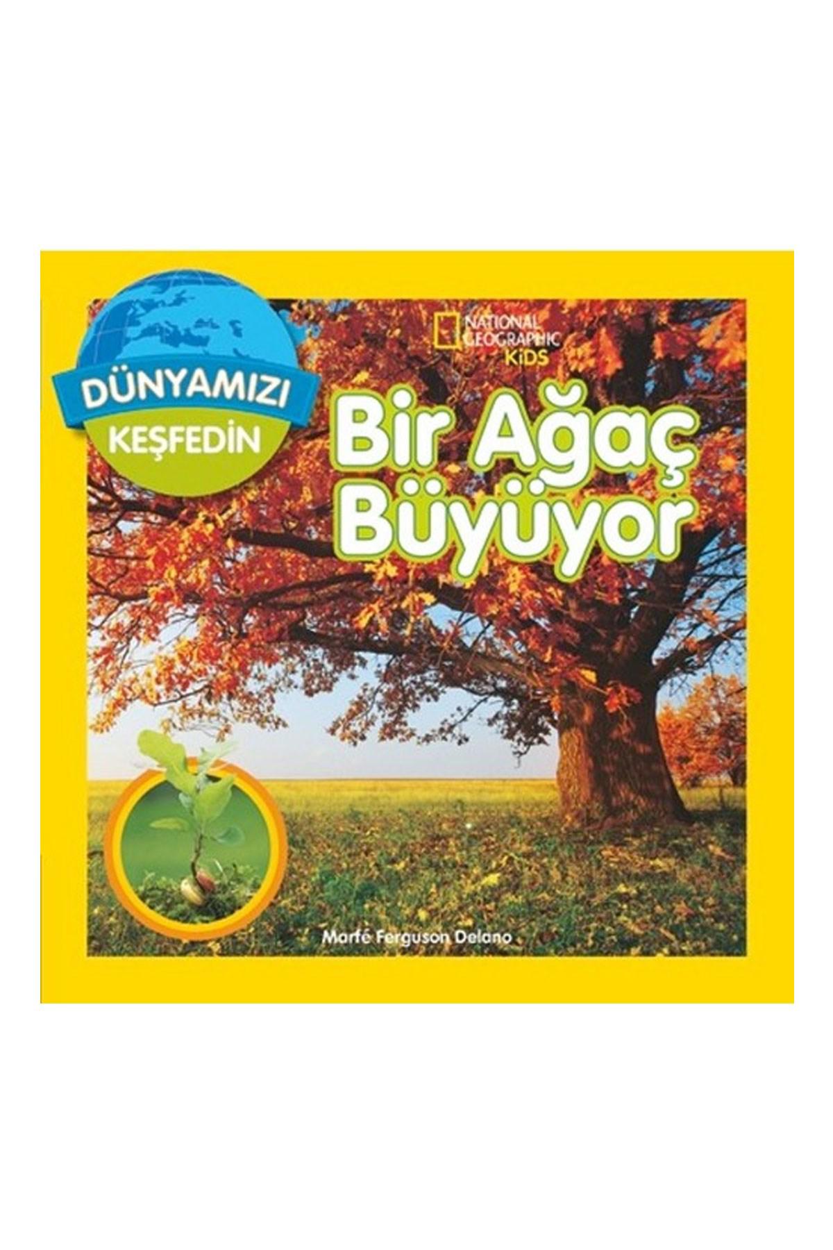 Dünyamızı Keşfedin - Bir Ağaç Büyüyor