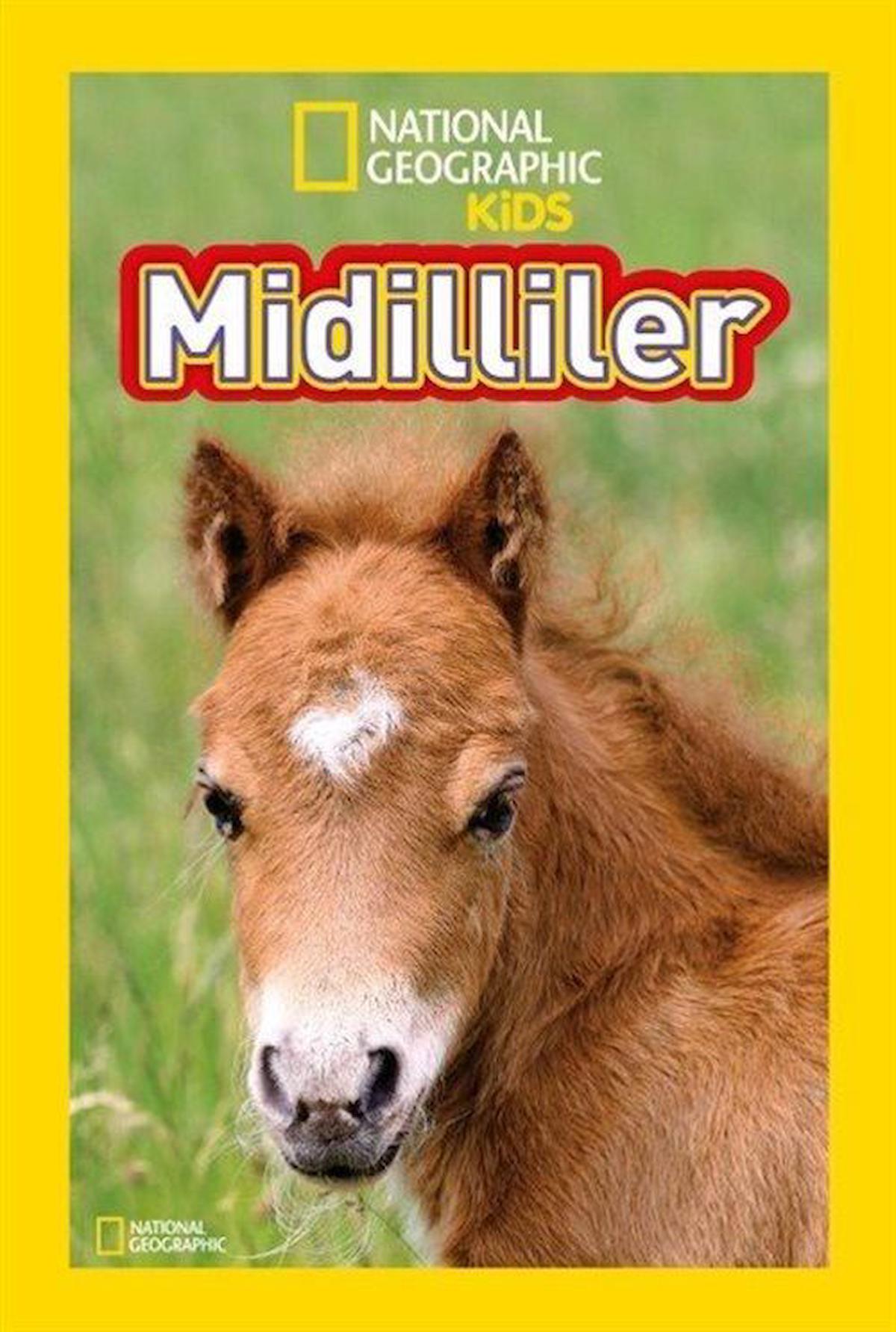 National Geographic Kids Midilliler