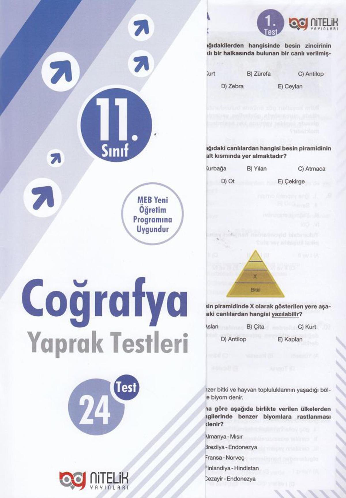 Nitelik Yayınları 11. Sınıf Coğrafya Yaprak Test