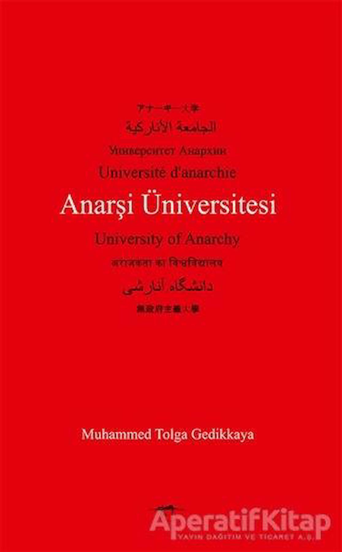 Anarşi Üniversitesi