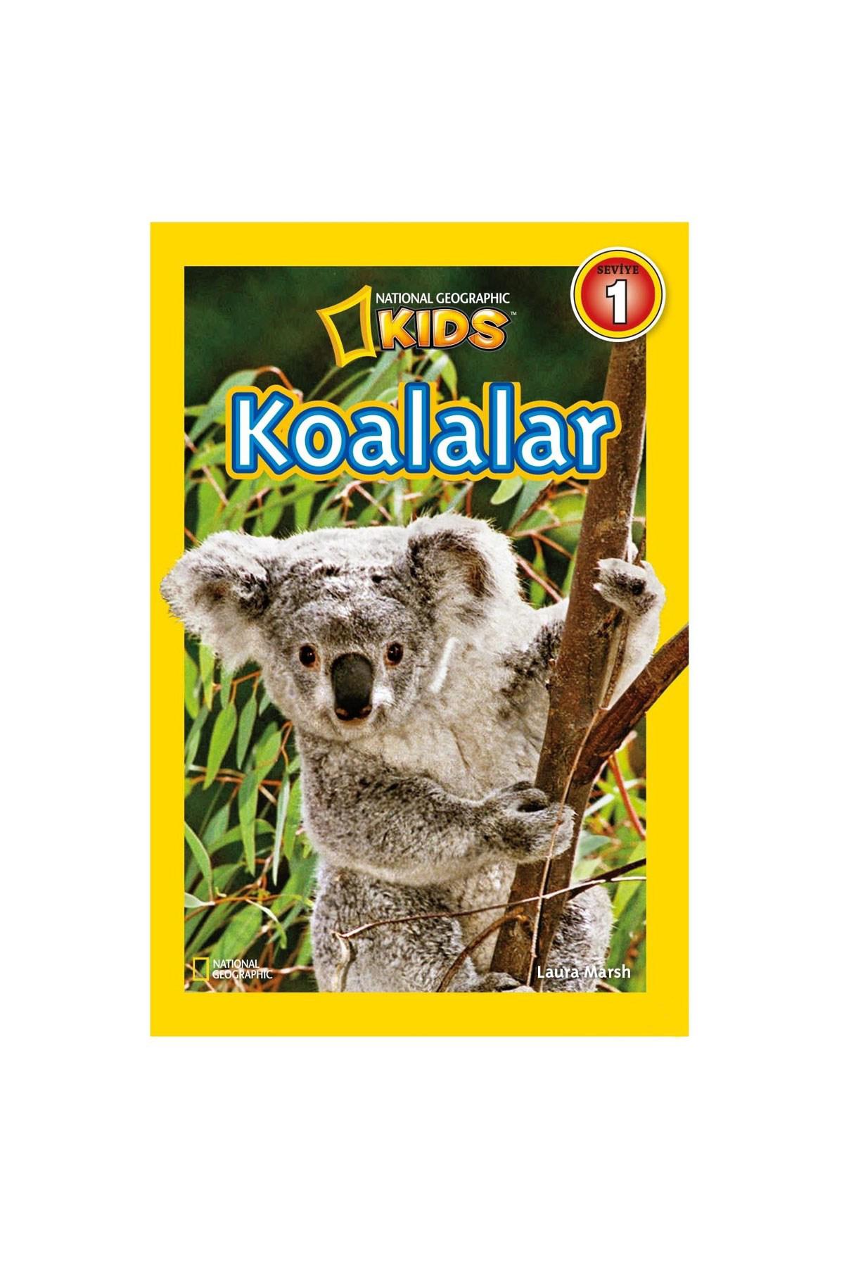 Koalalar - Seviye 1