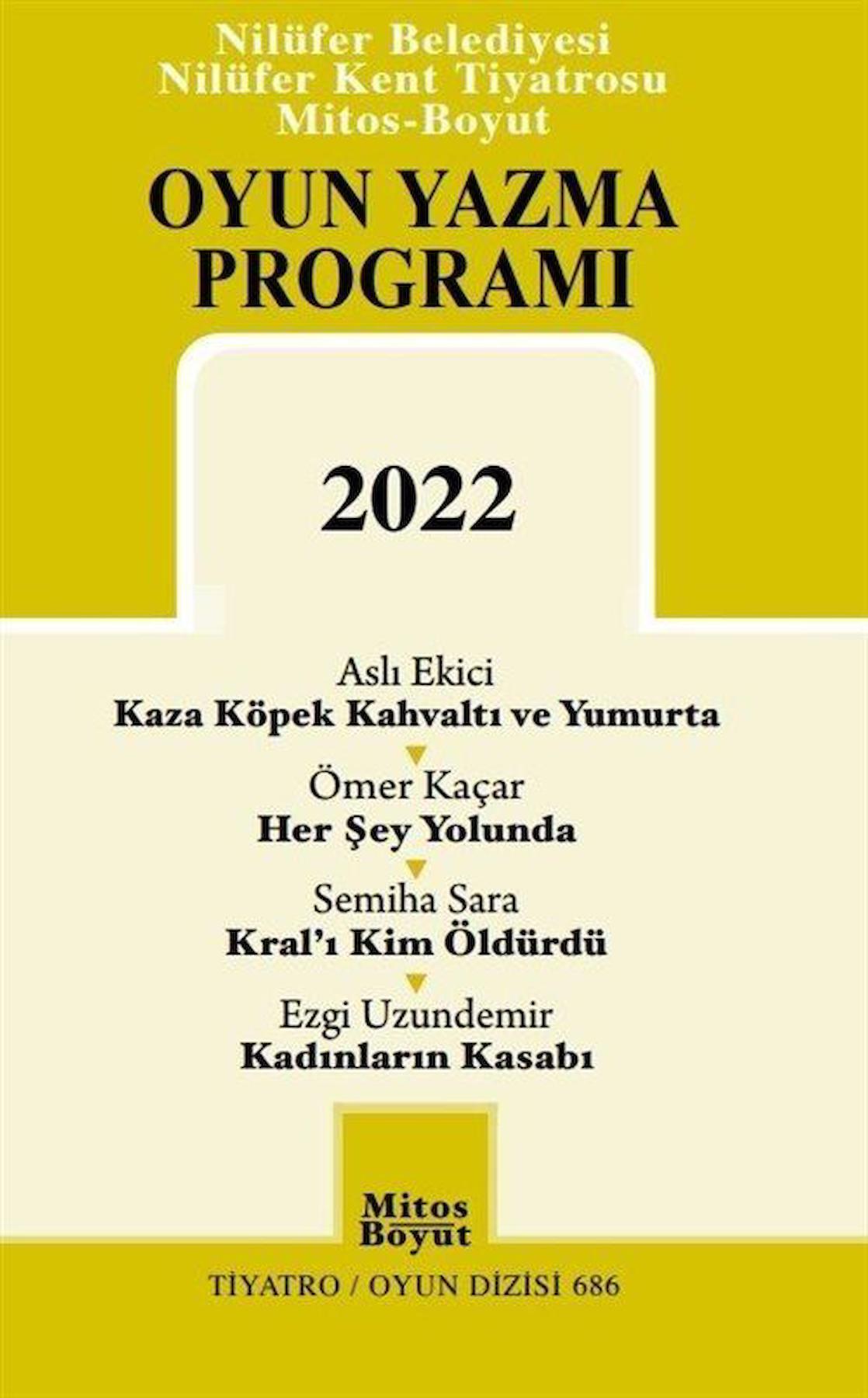 Oyun Yazma Programı 2022 / Aslı Ekici