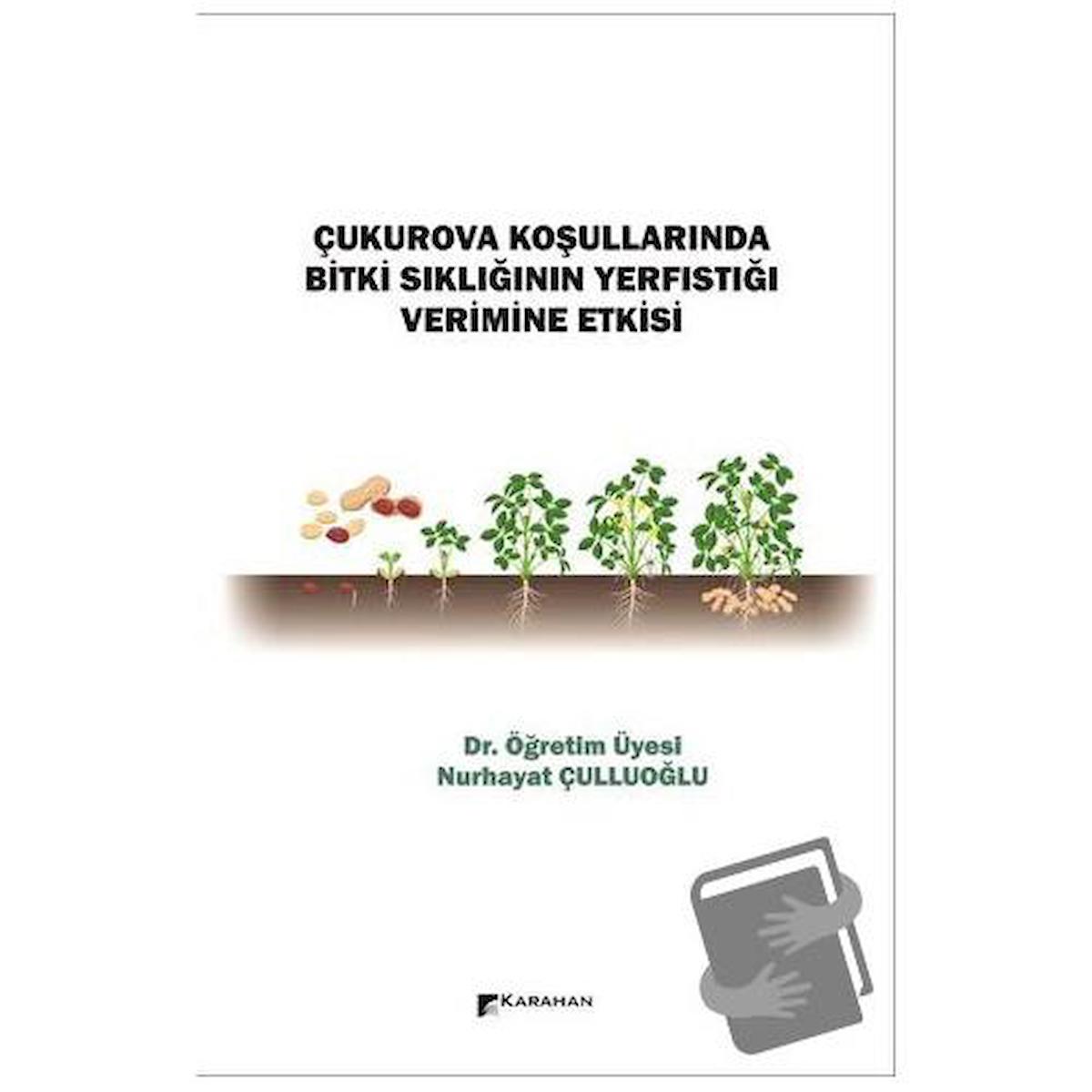 Çukurova Koşullarında Bitki Sıklığının Yerfıstığı Verimine Etkisi