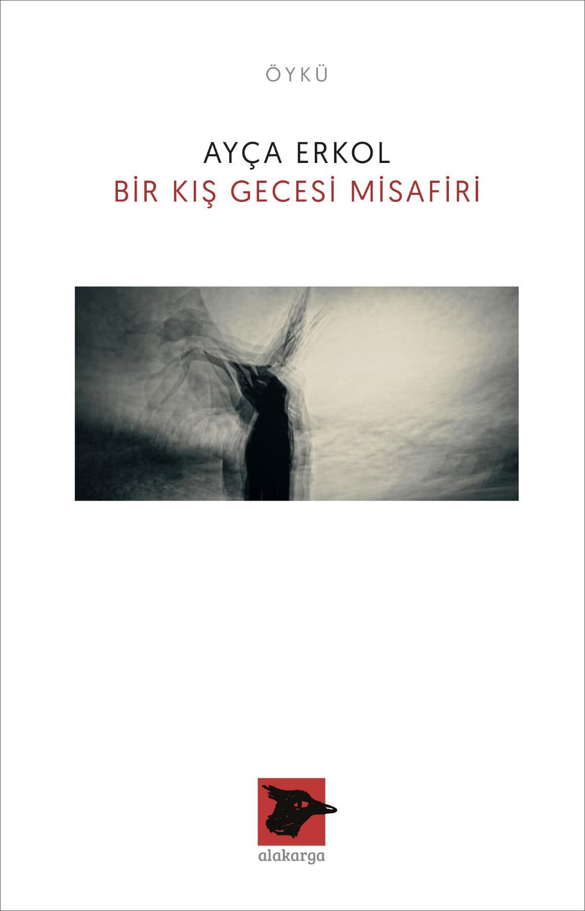 Bir Kış Gecesi Misafiri 