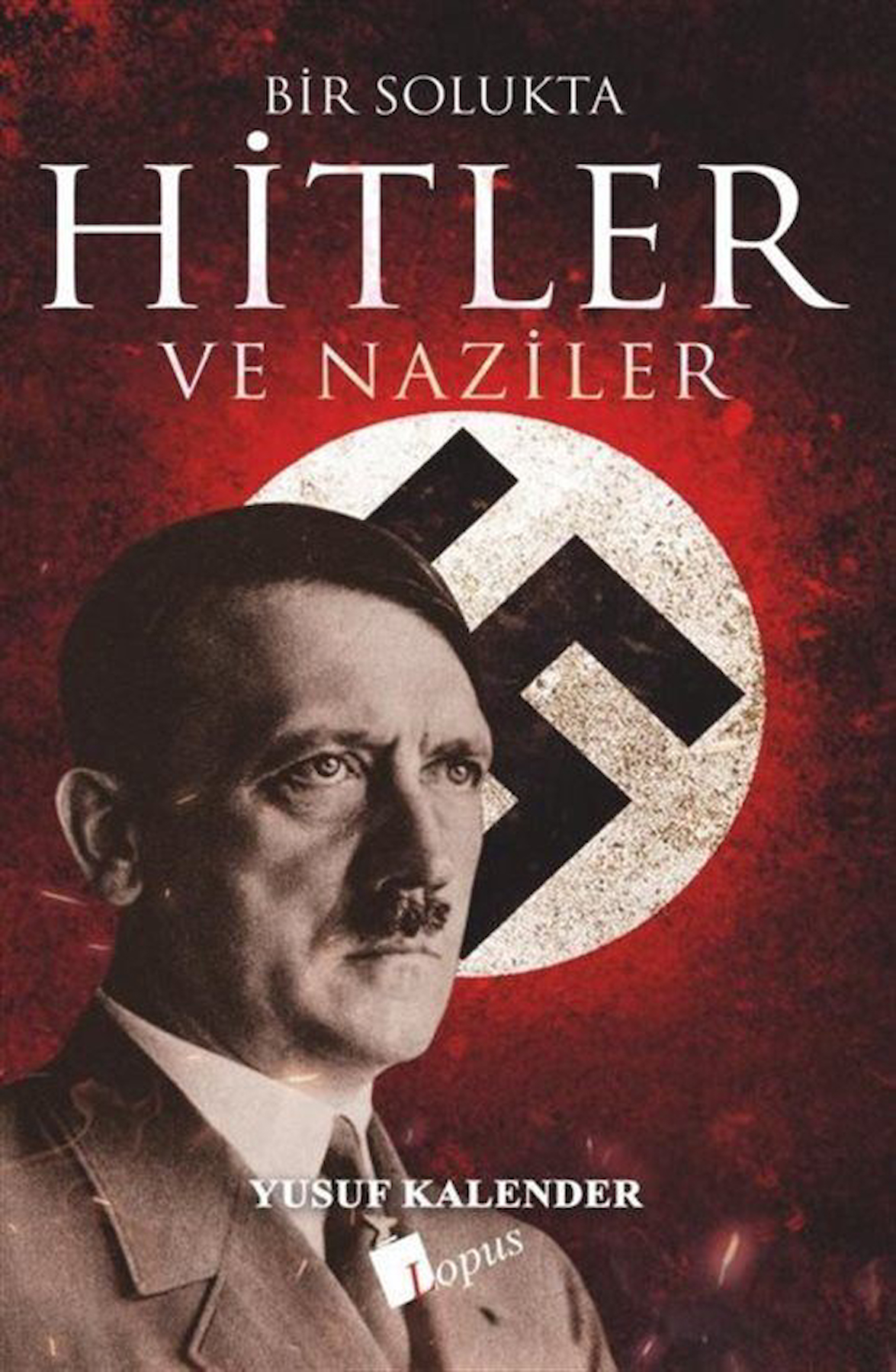 Bir Solukta Hitler Ve Naziler / Yusuf Kalender