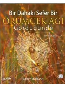 Bir Dahaki Sefer Bir Örümcek Ağı Gördüğünde