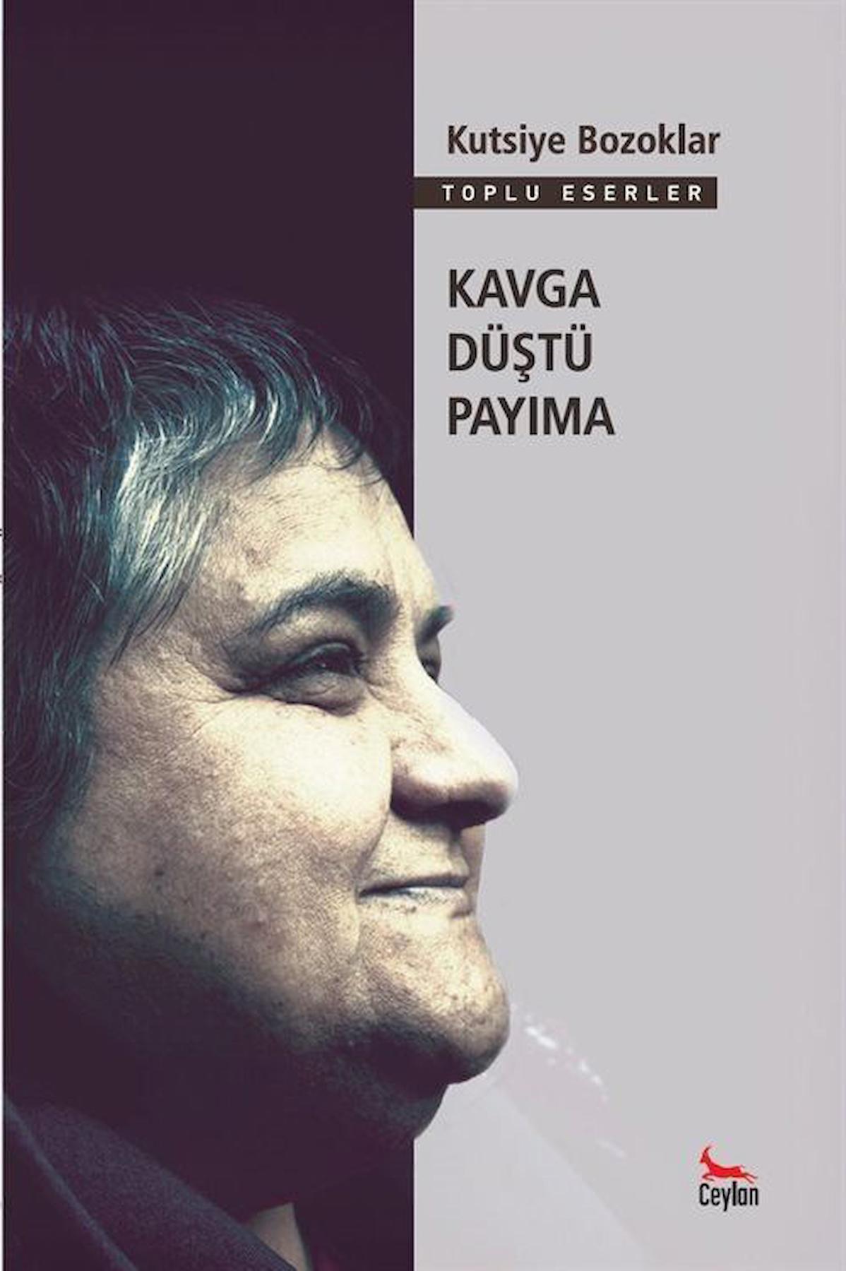 Kavga Düştü Payıma