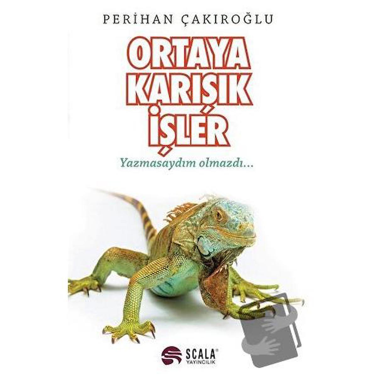 Ortaya Karışık İşler