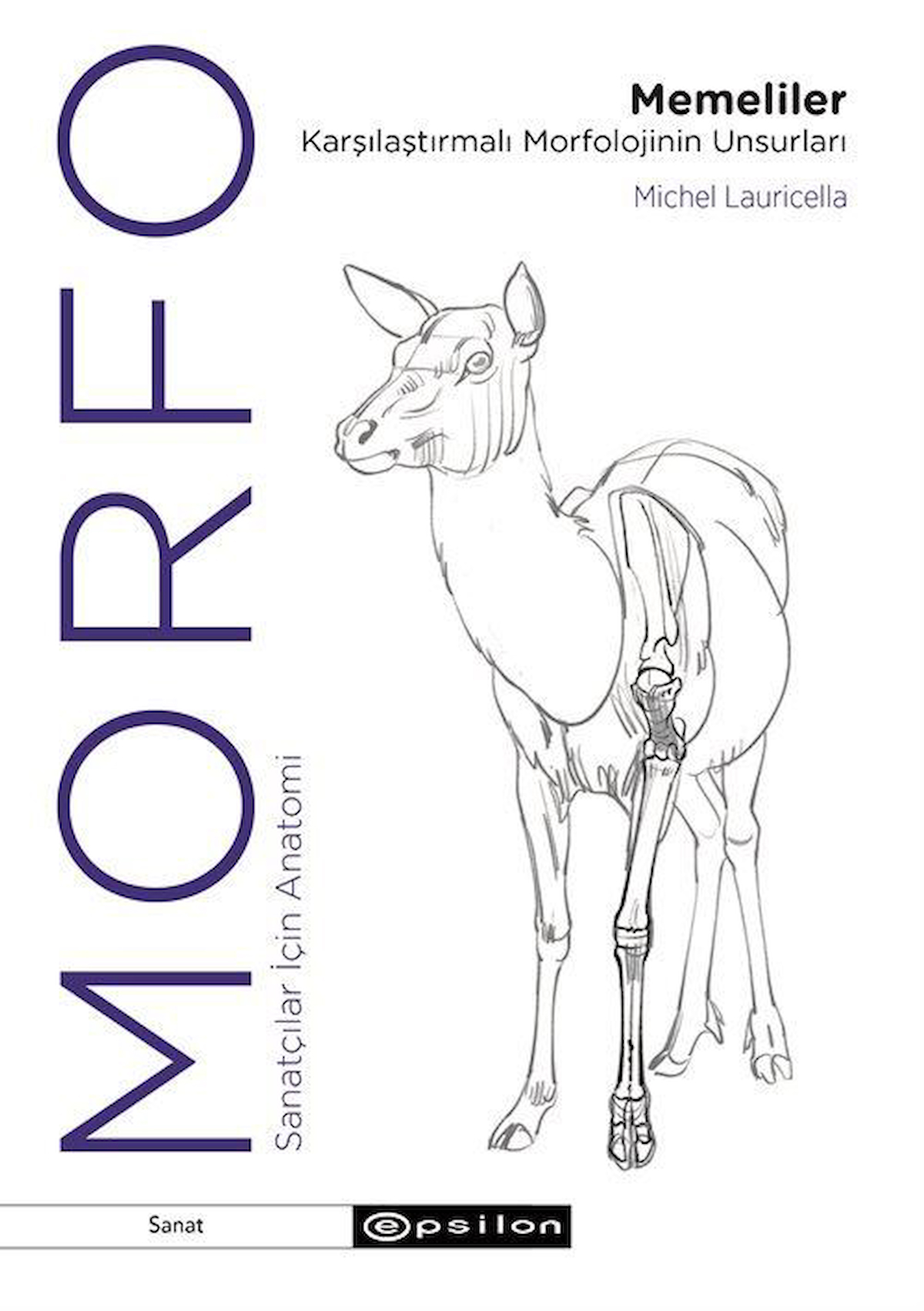 Morfo & Memeliler Karşılaştırmalı Morfolojinin Unsurları / Michel Lauricella