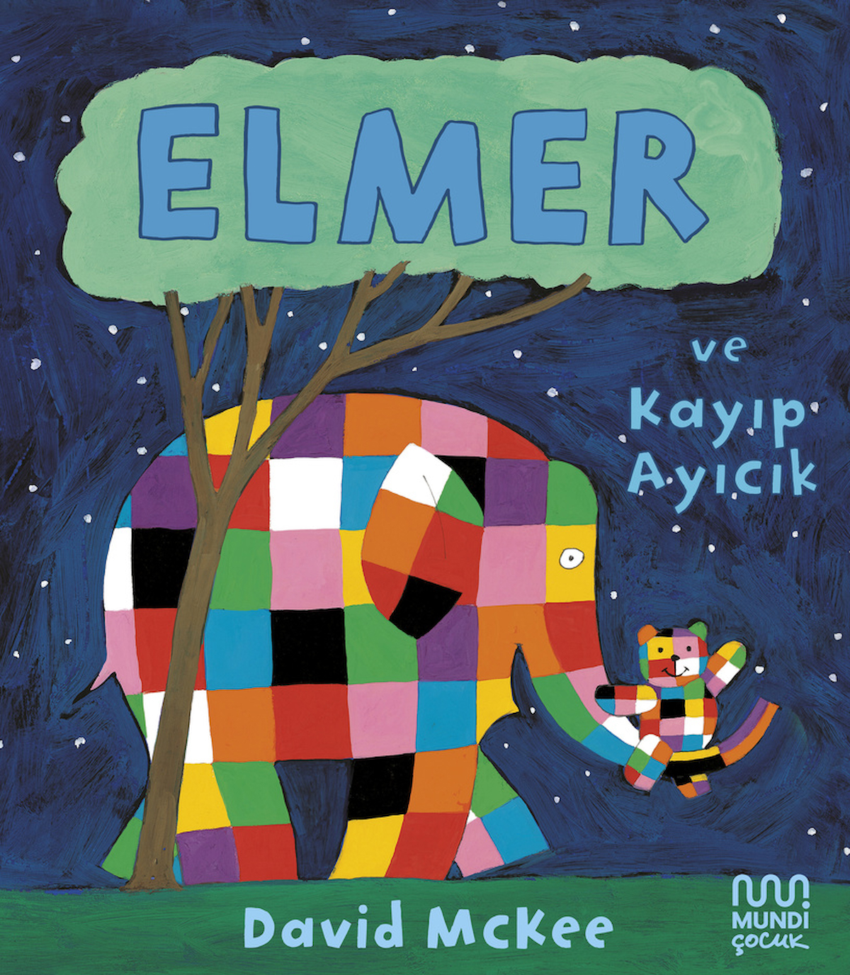 Elmer ve Kayıp Ayıcık