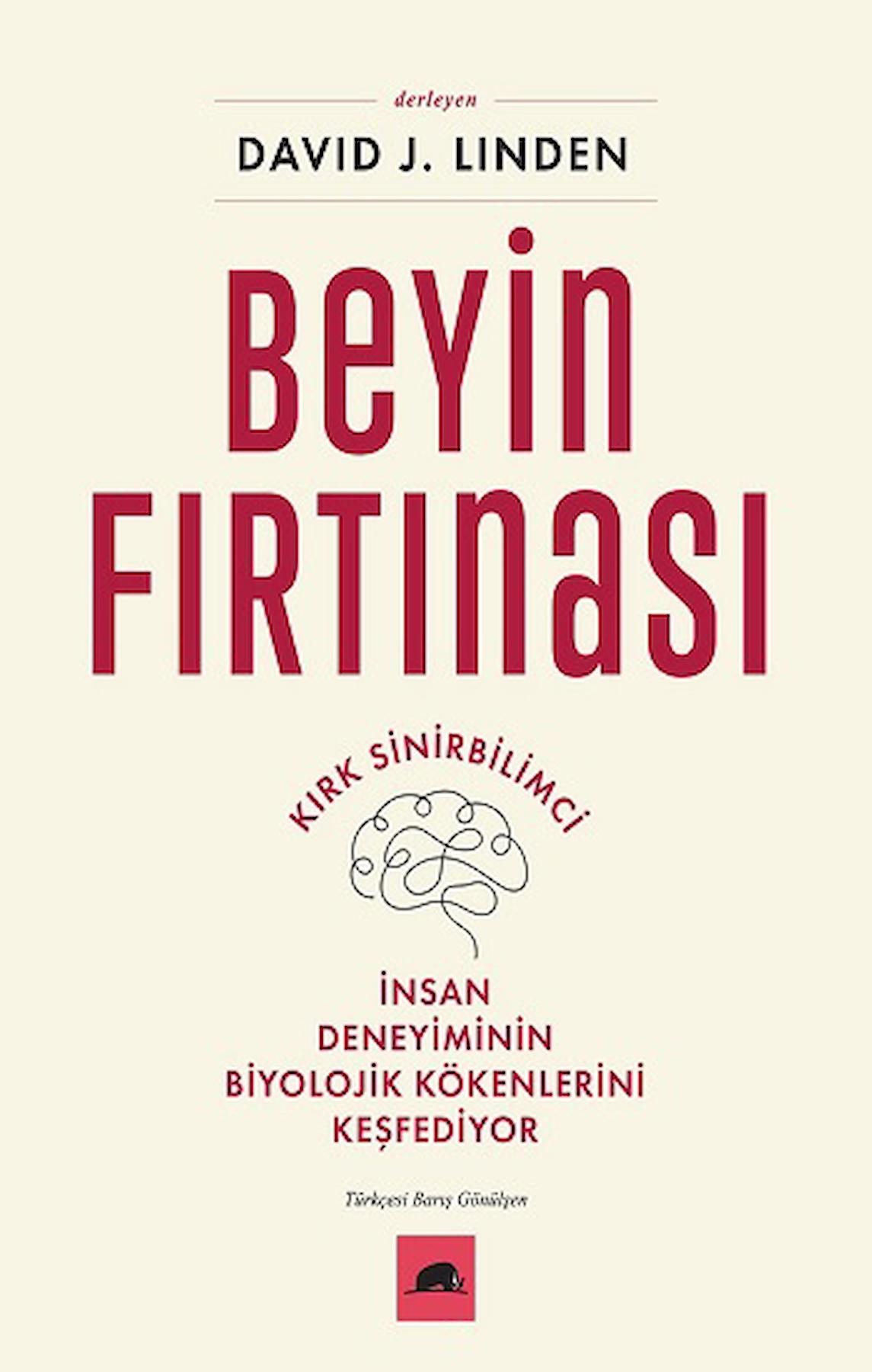 Beyin Fırtınası