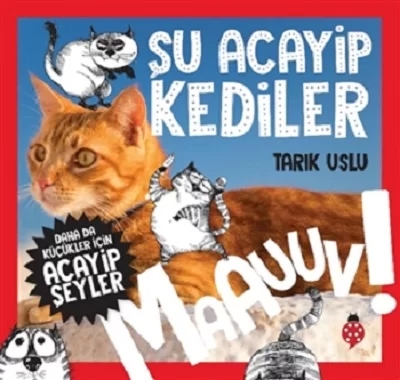 Daha da Küçükler İçin Şu Acayip Kediler - Daha da Küçükler İçin Acayip Şeyler 1