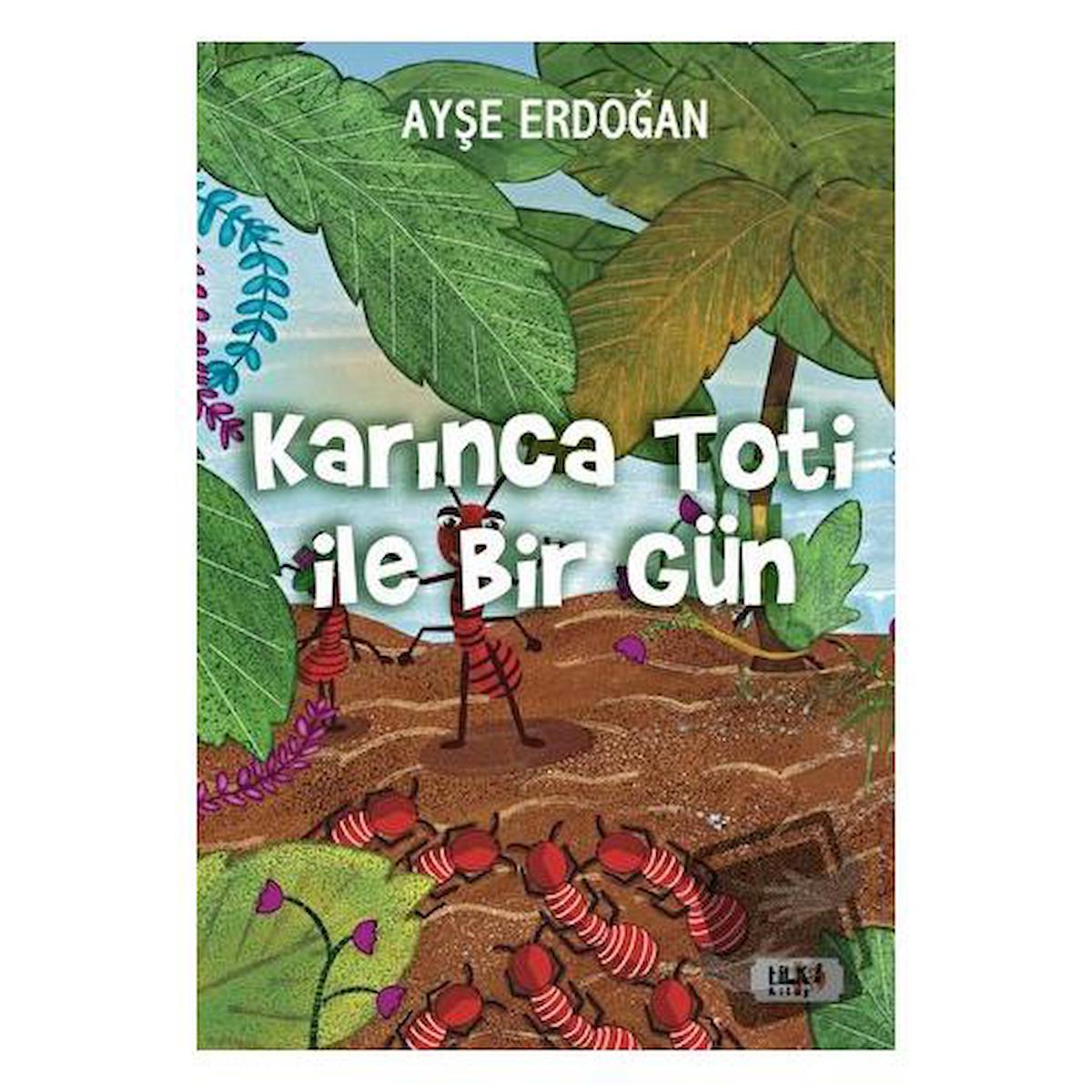 Karınca Toti ile Birgün