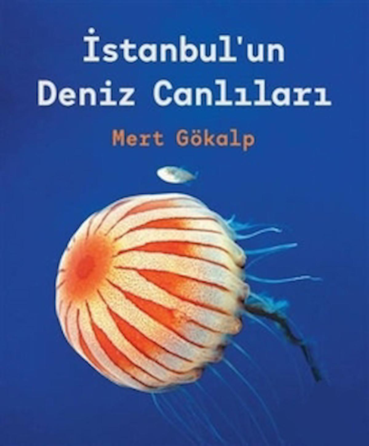 İstanbul'un Deniz Canlıları