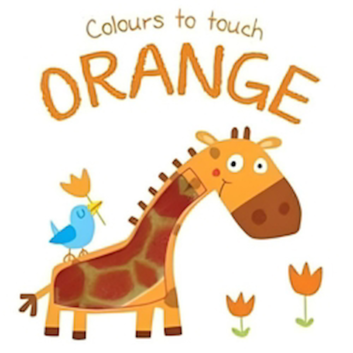 Colours To Touch: Orange