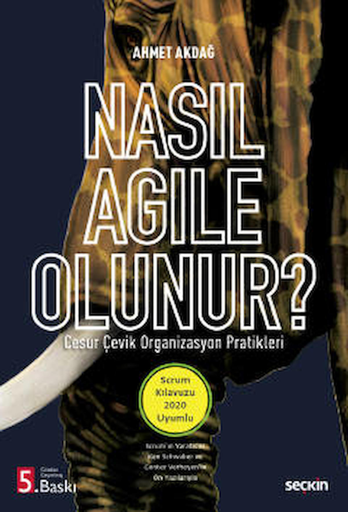 Nasıl Agile Olunur?