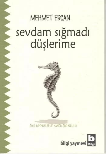 Sevdam Sığmadı Düşlerime