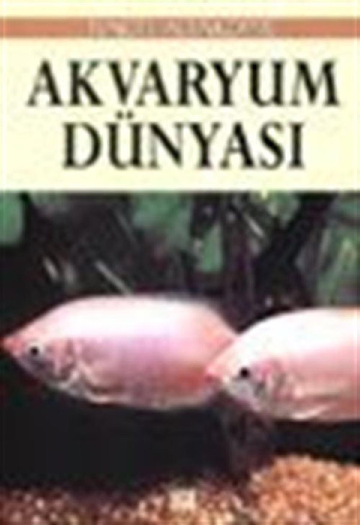 Akvaryum Dünyası / Psikolog Tuncel Altınköprü