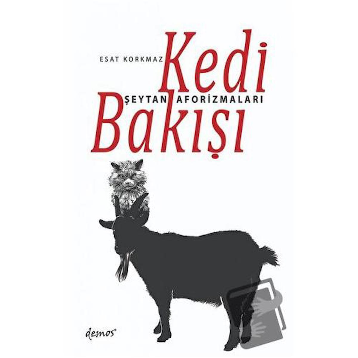 Kedi Bakışı