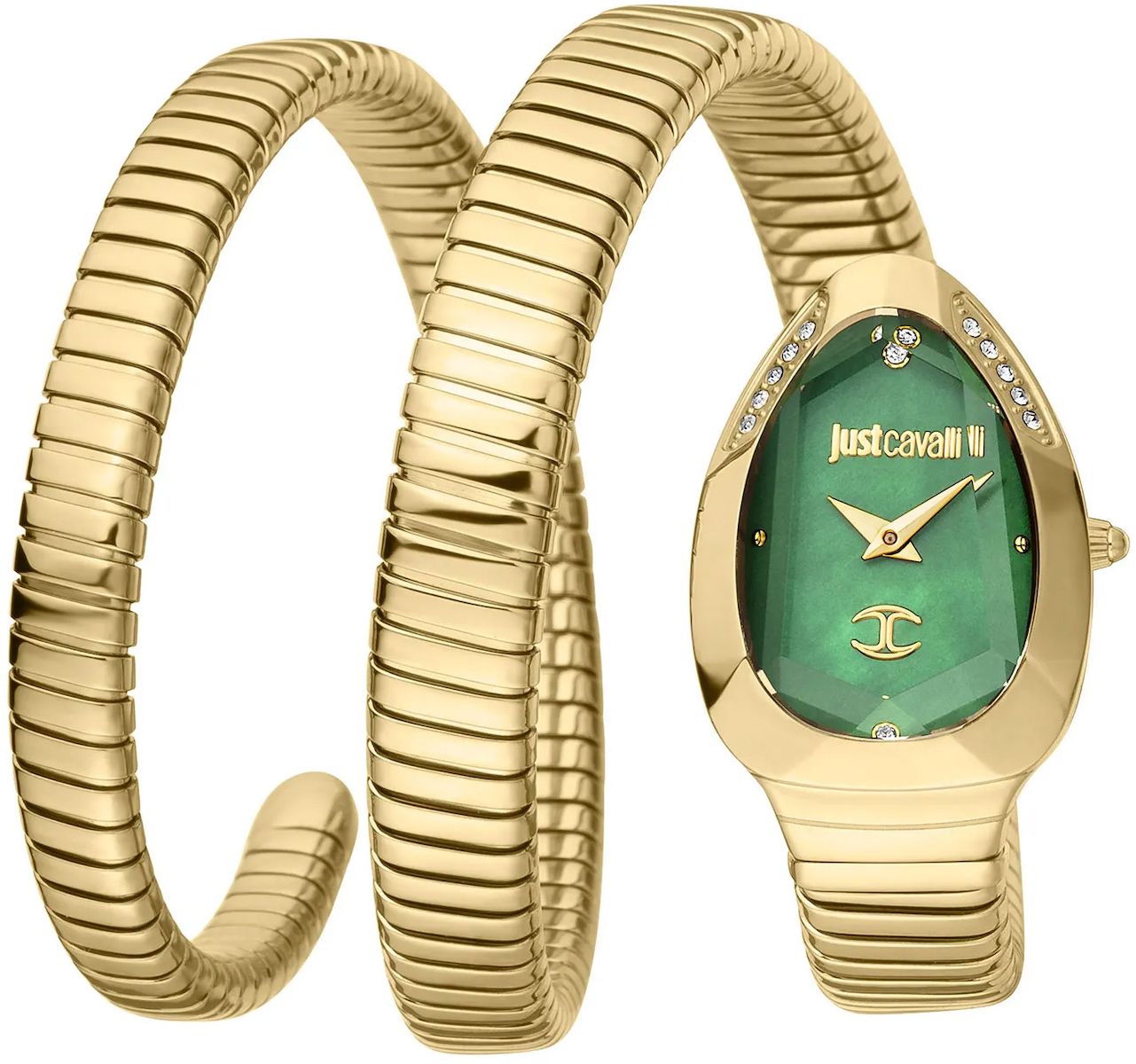 Just Cavalli JC1L209M0045