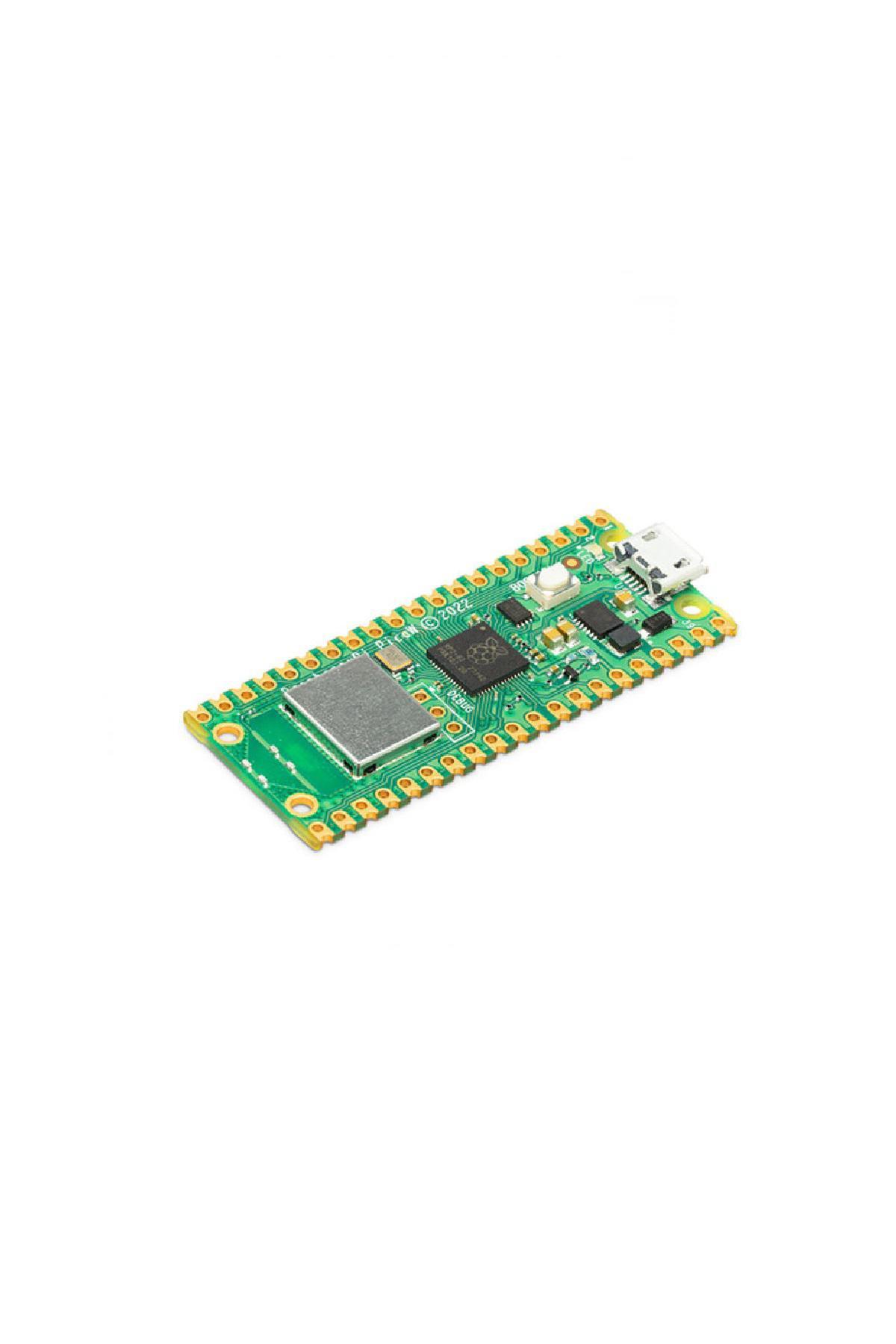 Raspberry Pi Pico W