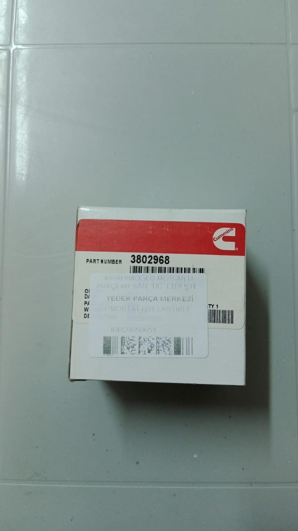 Cummins Termostat 6BT Lastikli (9P904602) (3802968)