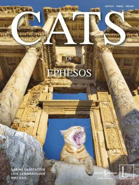 Cats of Ephesos