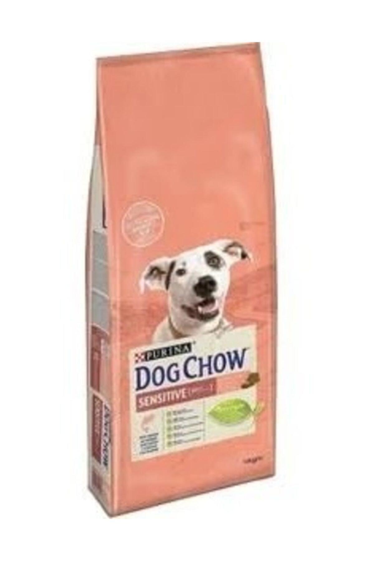 Dog Chow Somonlu Hassas Yetişkin Köpek Maması 14 kg