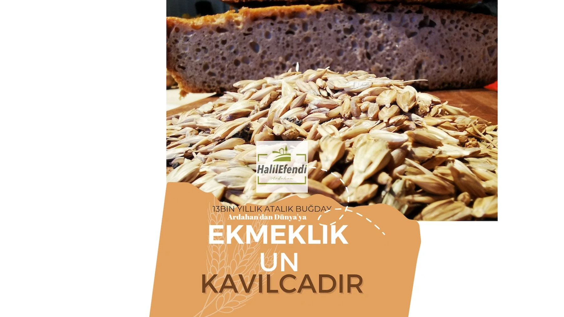 HalilEfendi Ardahan Kavılca Un