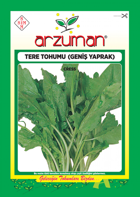 Arzuman Tere Tohumu( Geniş Yaprak) ( 12.500 Adet Tohum)