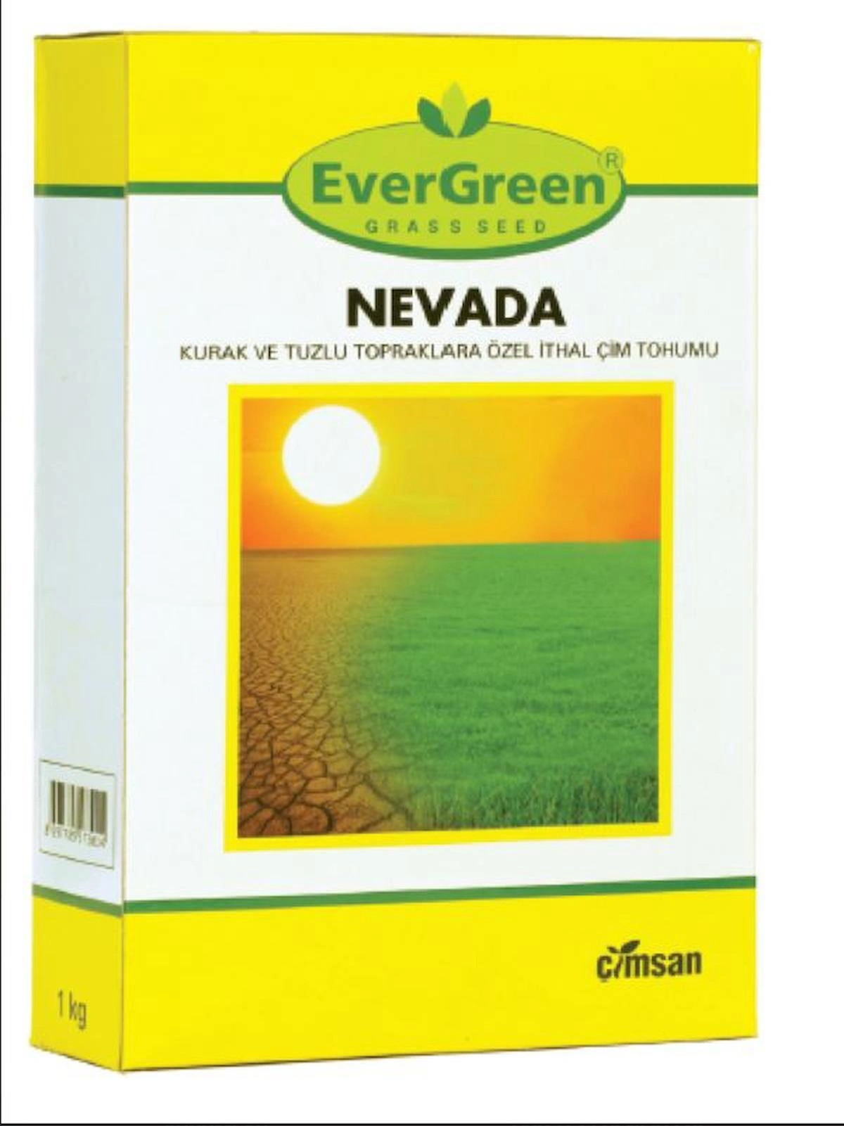 Evergreen Nevada Sıcak İklim İçin Çim Tohumu 1 kg Kutu