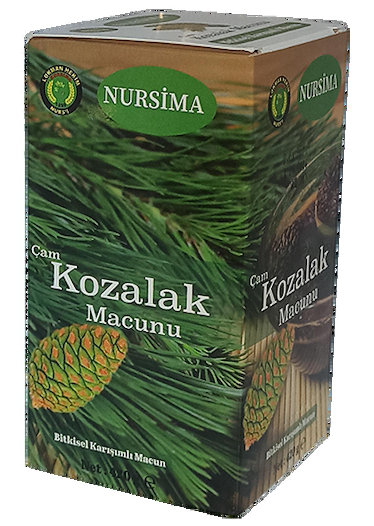 Çam Kozalak Macunu 420 gr