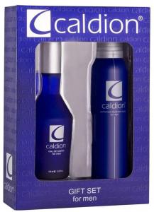 Caldion Classics EDT Çiçeksi Erkek Parfüm 100 ml  