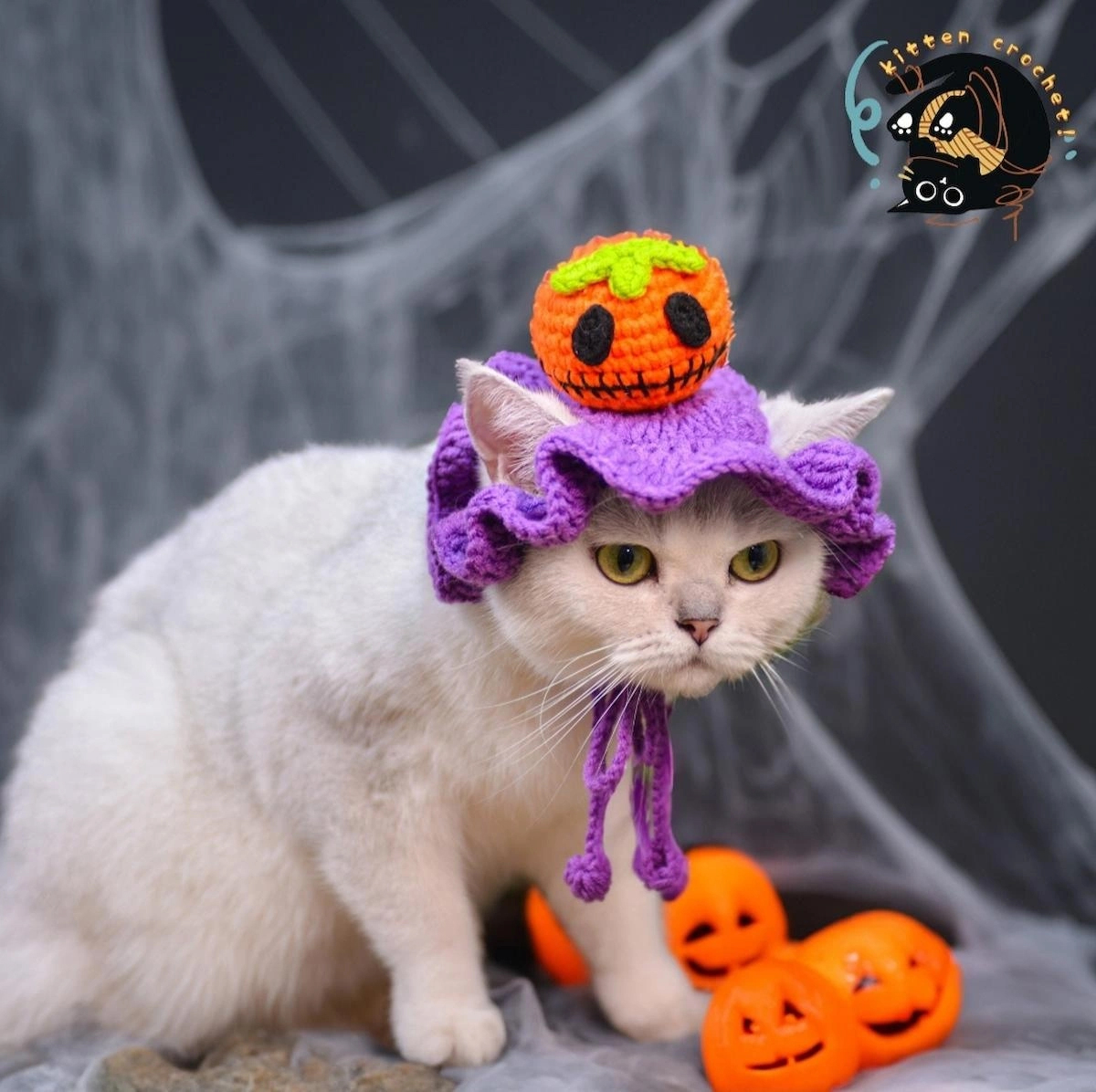 Halloween kedi beresi şapka aksesuar Noel hediyesi 