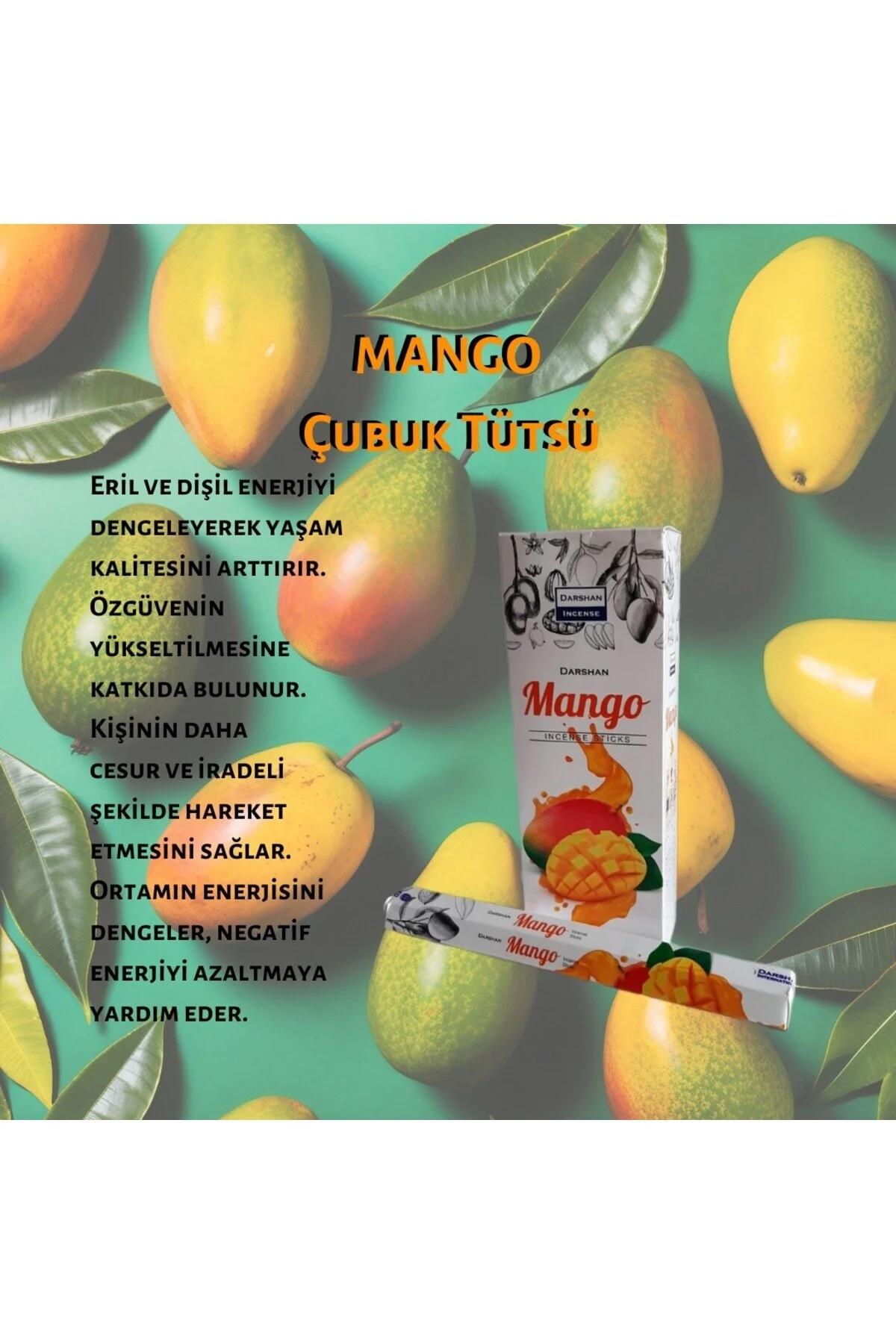 Mango Çubuk Tütsü 120 adet