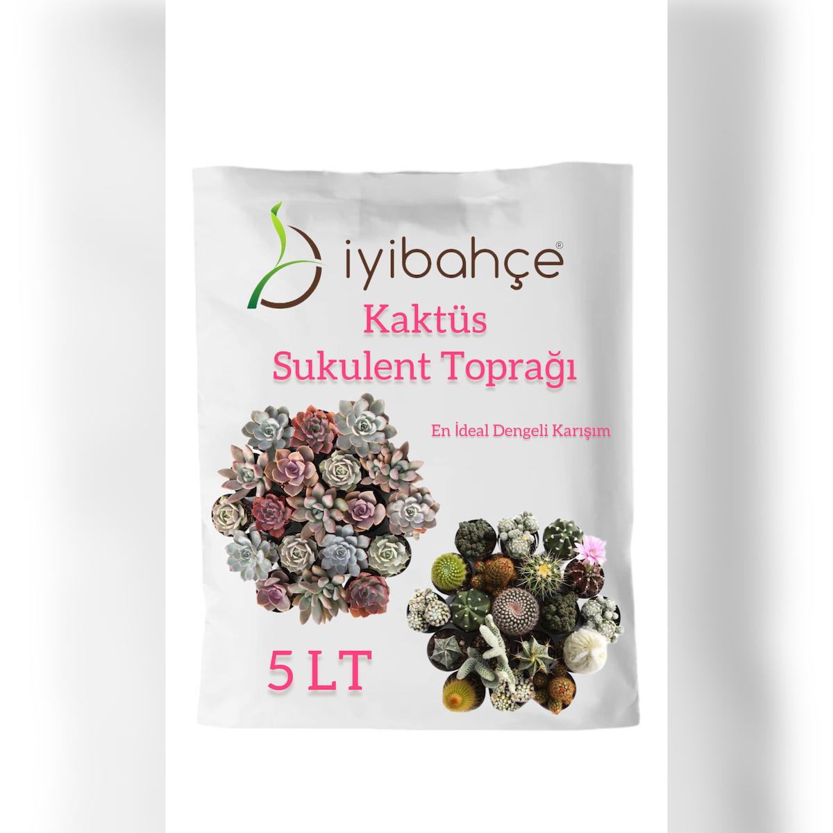 İYİBAHÇE KAKTÜS-SUKULENT TOPRAĞI 5 LT