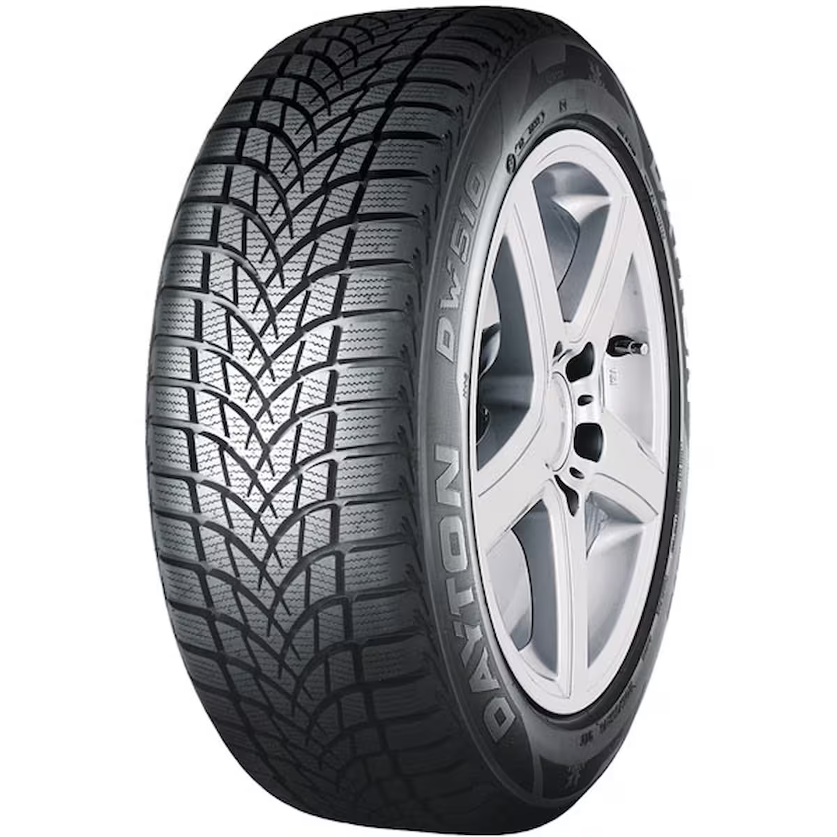 Dayton 205/55R16 91H DW510 Evo (Kış) (2024)