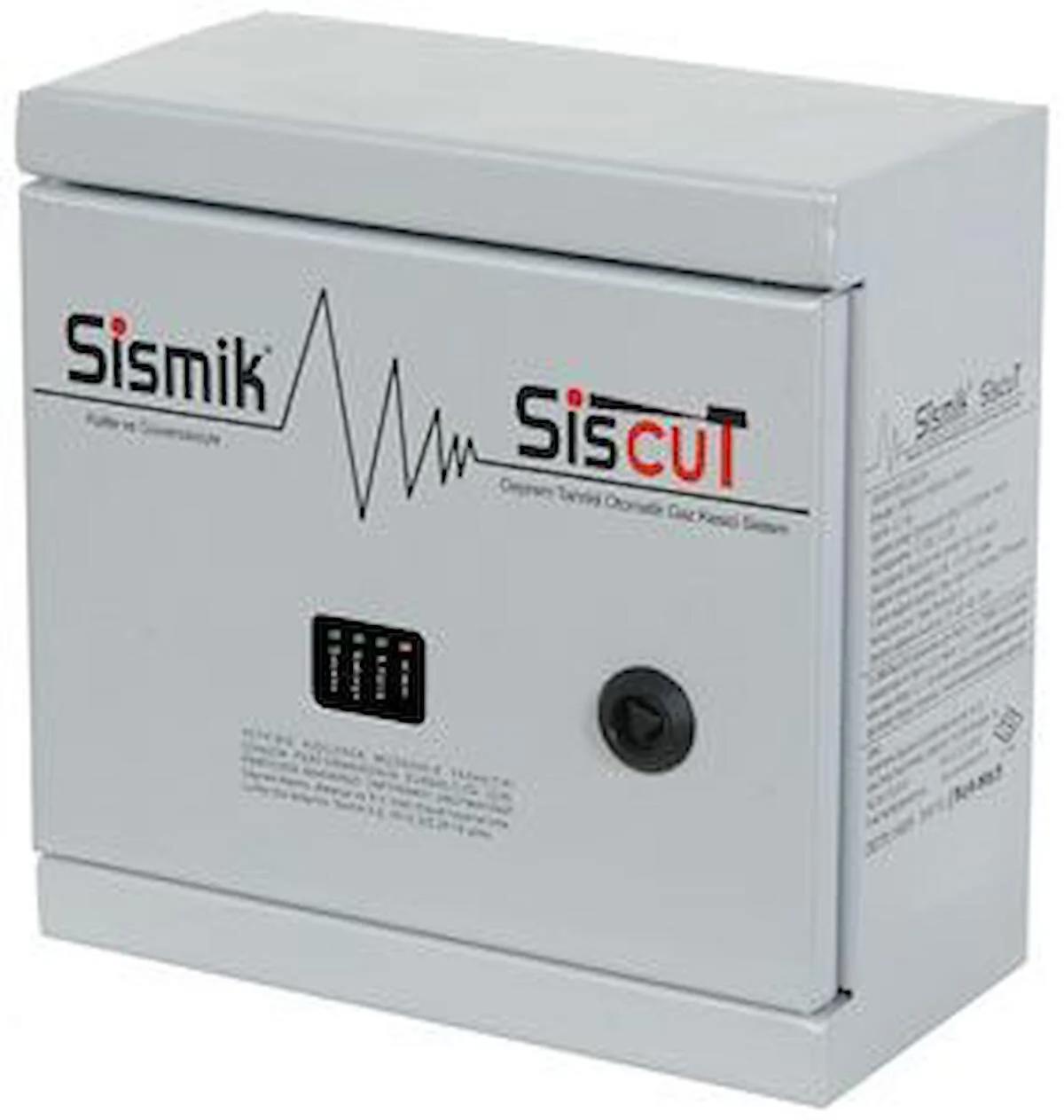 SİSMİK 2 Kontaklı Elektronik Deprem Sensörü