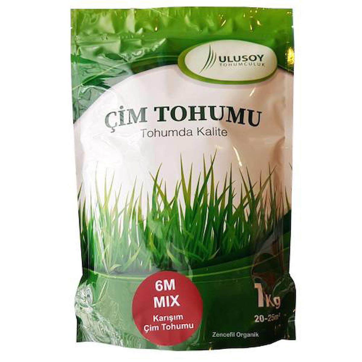 Ulusoy Tohumculuk 6M Mix Çim Tohumu Karışımı 1Kg